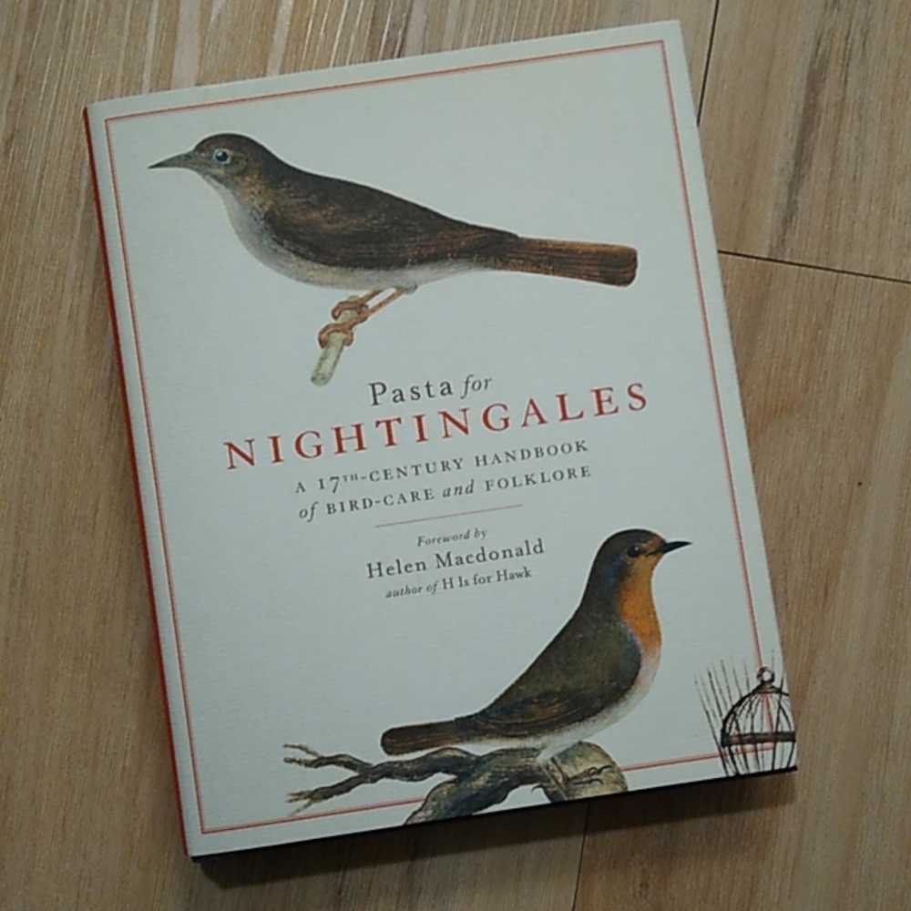 2/$30 - 🪶Pasta for Nightingales - Illustrated Stories🪶